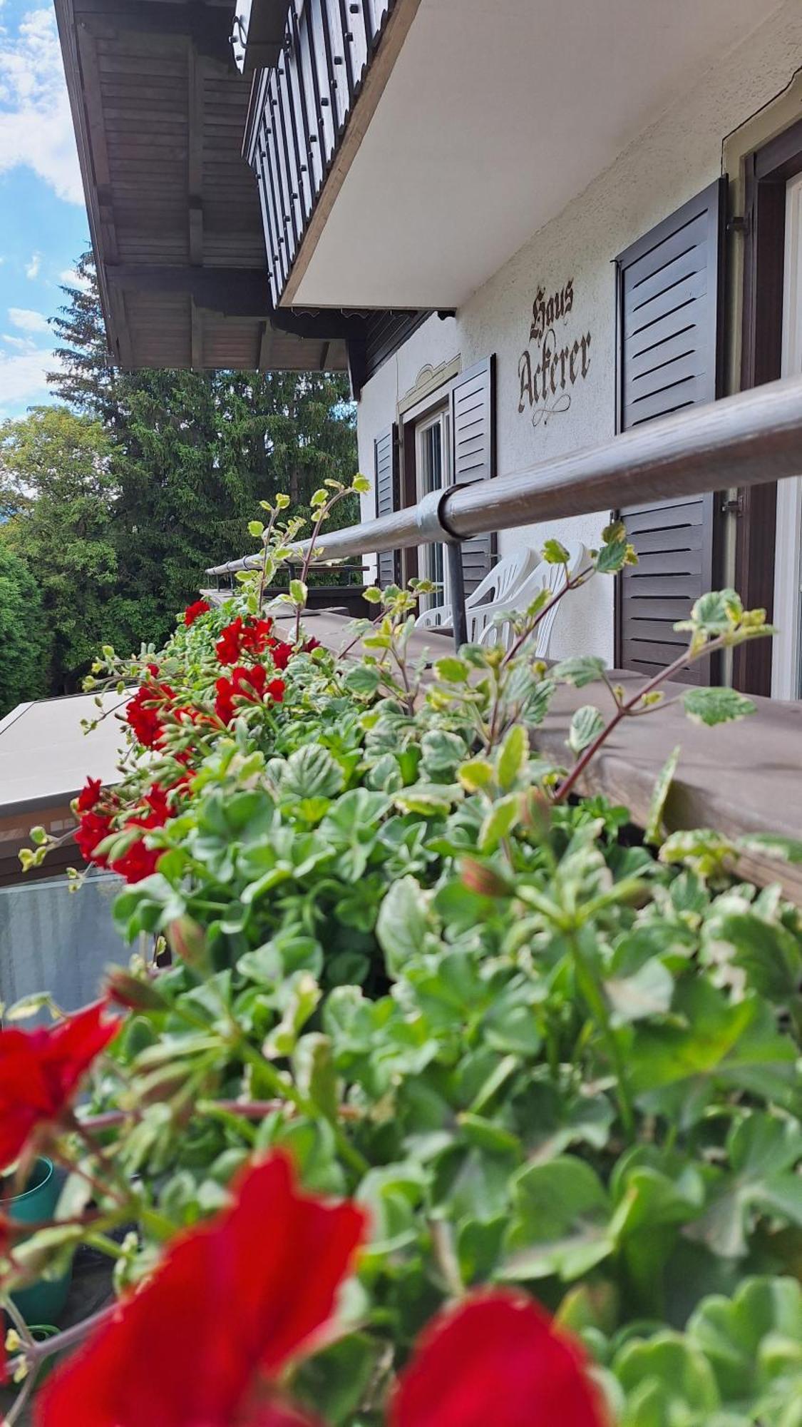 Haus Ackerer Apartment Leogang Bagian luar foto
